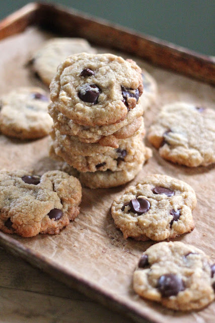 Coconut chocolate chip cookies