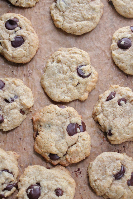 Coconut chocolate chip cookies