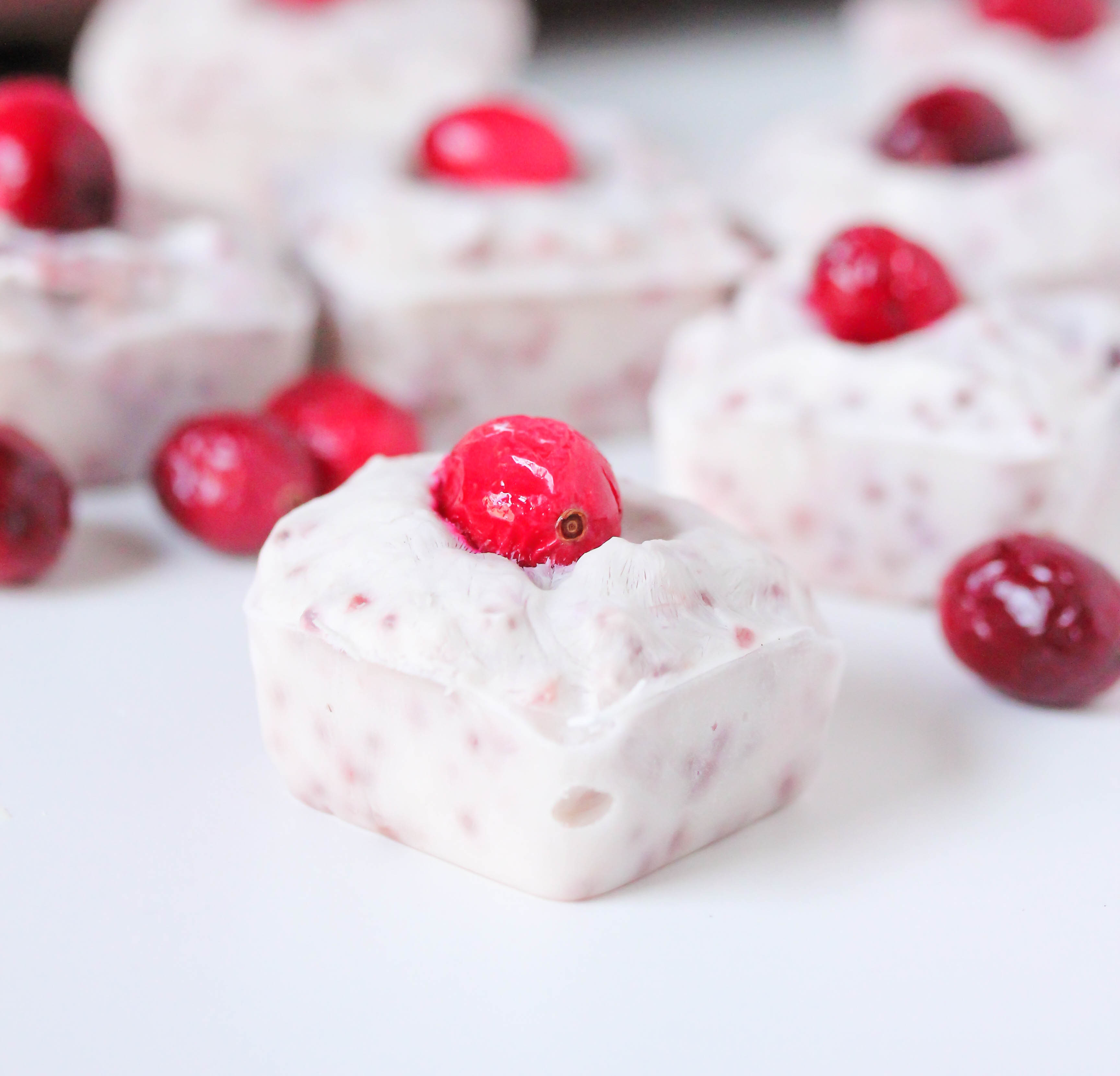 Cranberry chia frozen yogurt bites