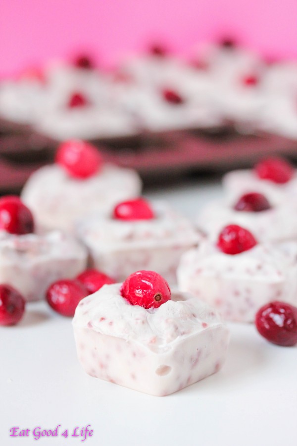 Cranberry chia seed frozen yogurt bites