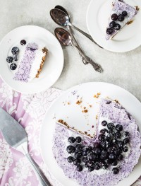 Vegan blueberry coconut cake | Eat Good 4 life
